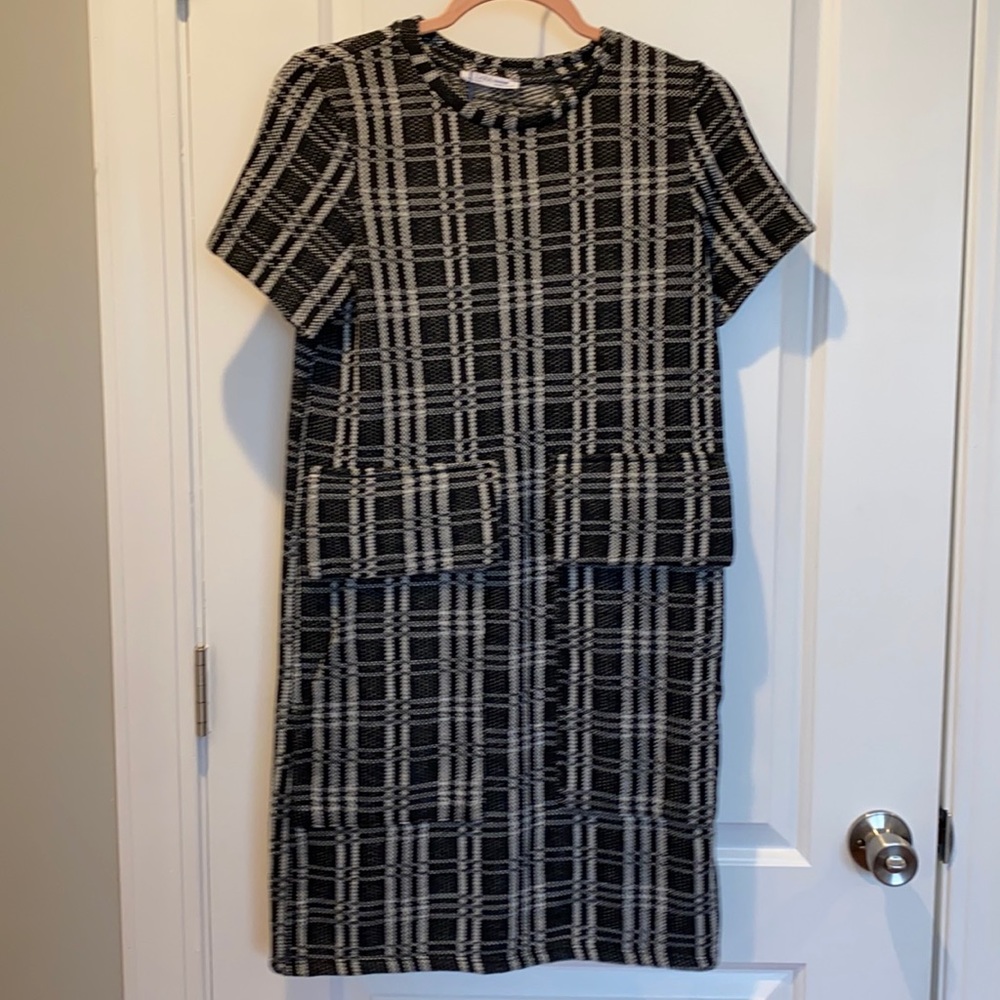 Brand New Zara Dress Size Small